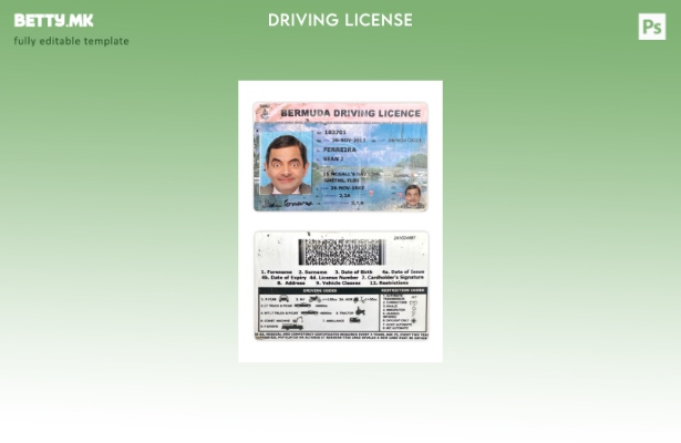 Шаблон за возачка дозвола од Бермудски стил во модерен стил